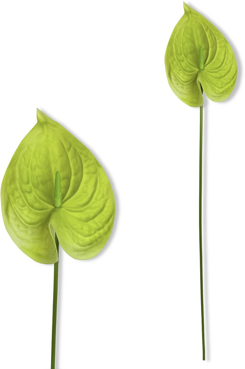 Inspiruj Anturium Serie - Kunstbloem - Groene Piankranten - 57 cm