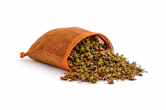 Sedum Stekken 1 KG – Groendak Sedum Cuttings Mix / Green Roof Sedum Stekjes voor...