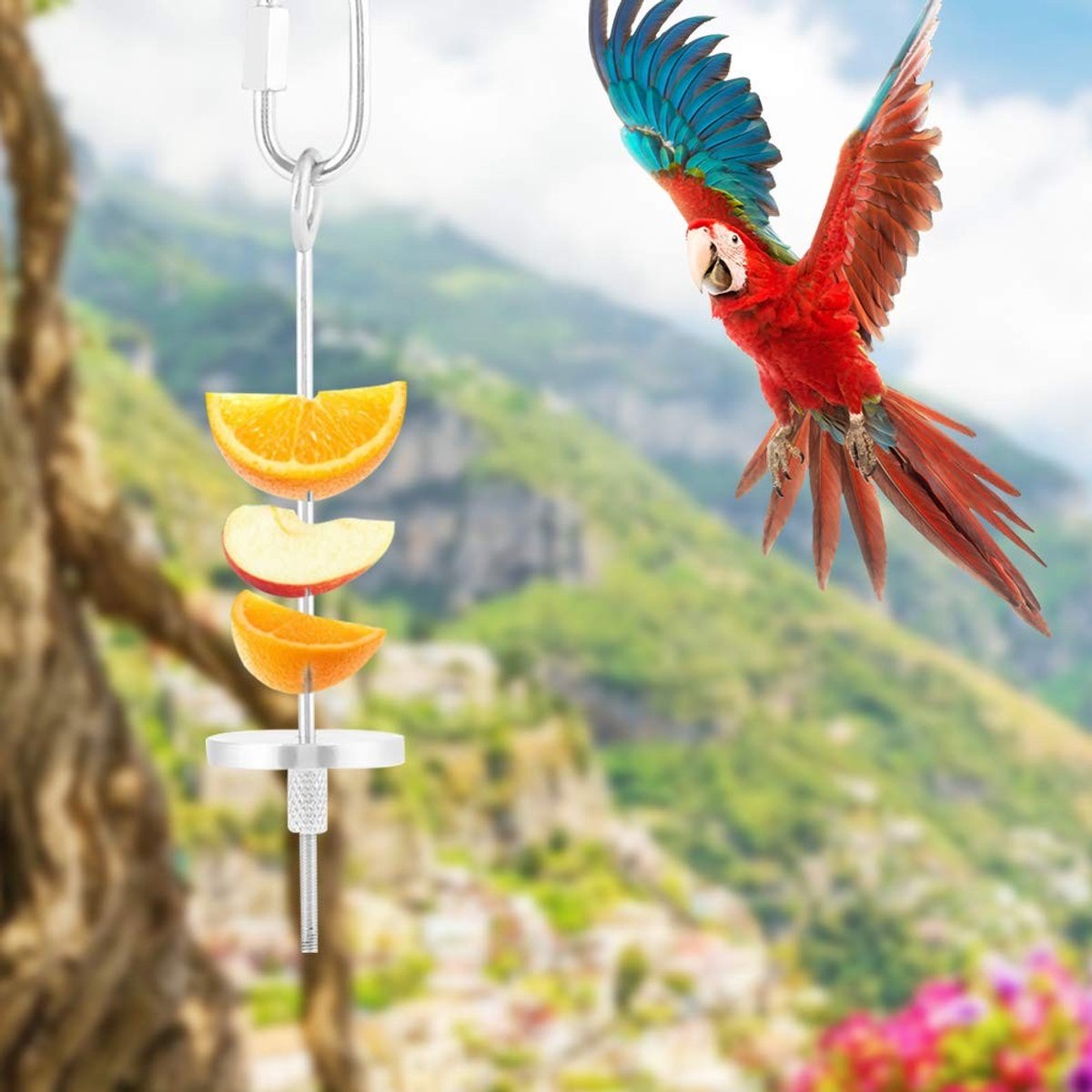 SPHProducts - Vogel Fruit Houder - Voederhouder voor Papegaaien - Duurzaam en Rustvrij - Geschikt voor Kleine Vogels - Perfect voor Fruit en Groenten