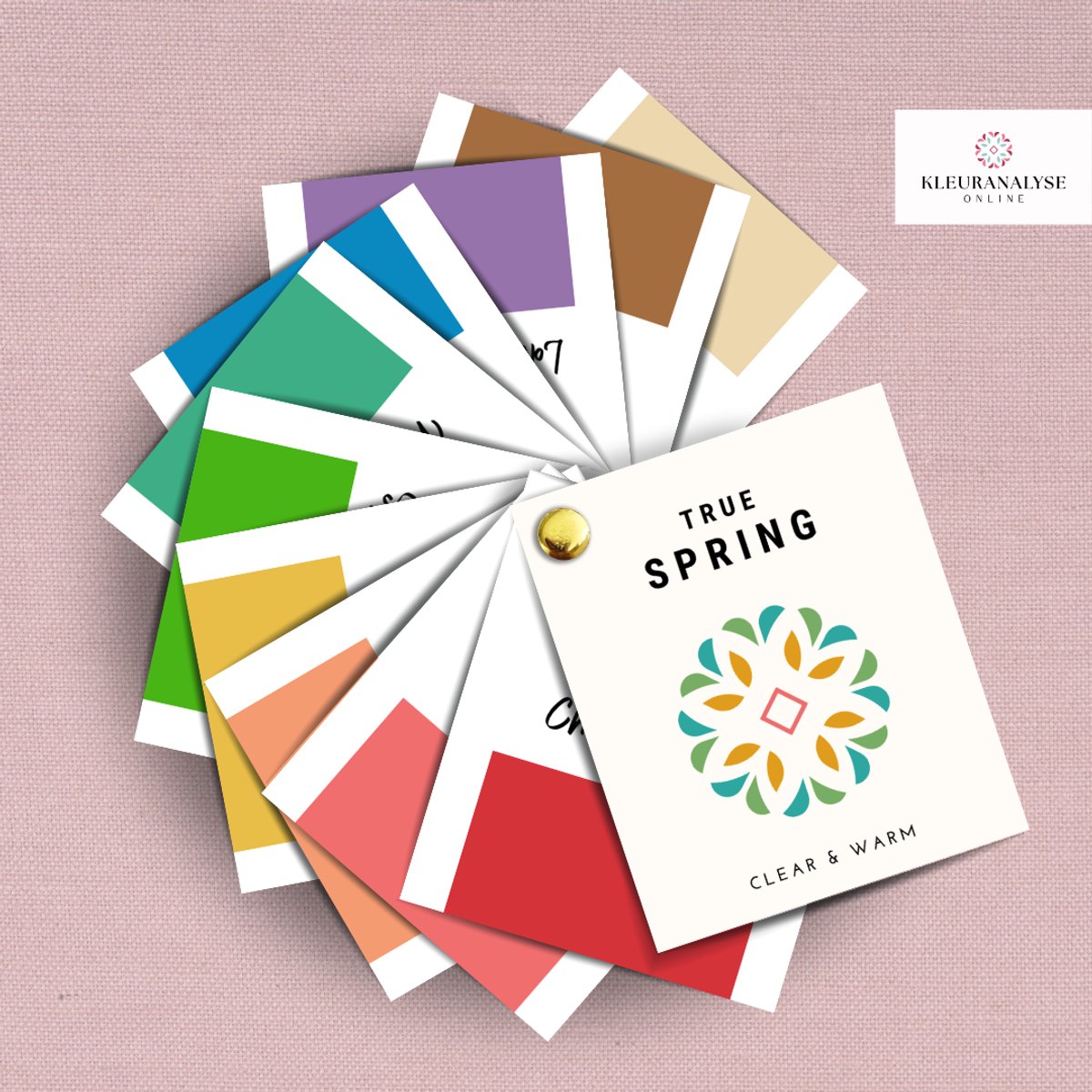 True Spring Kleurenwaaier – Seizoenskleuren – Kleurtype Lentetype – Warm & Helder – Kleuranalyse – Kleuradvies Voor Kleding