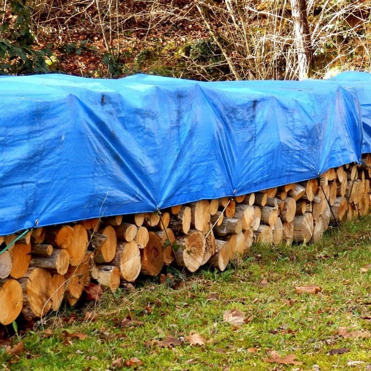 Afdekzeil - Zeildoek beschermhoes - Buiten beschermen - UV- en waterbestendig - 8x12m - Blauw