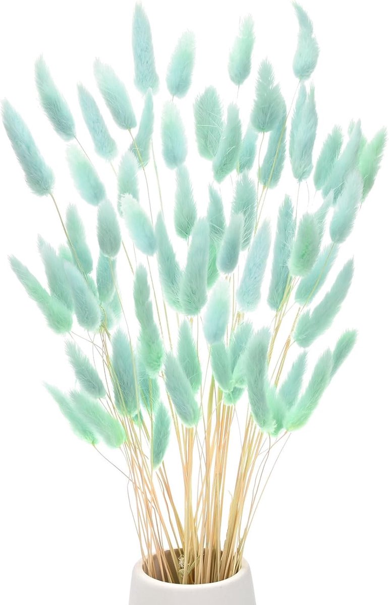 60pcs Rabbit Tail Grass - 45cm Fluffy Dried Flowers - Vaasvulling en Decoratie voor Thuis met Drogen Pampasgras [Blauw]