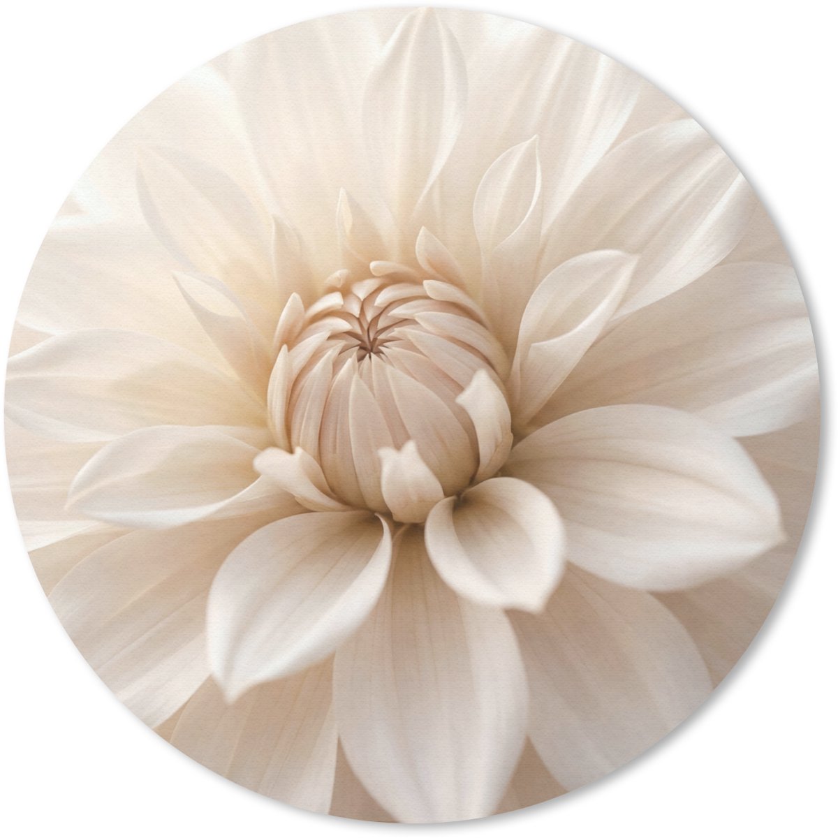 Muismat rond 30x30 cm - Mousepad Bloem - Dahlia - Wit - Ronde muismatten