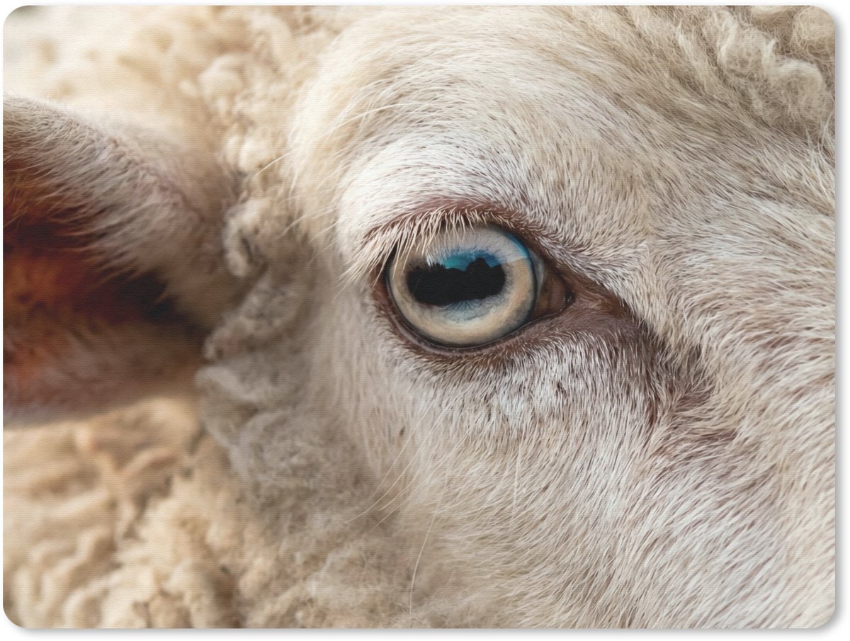 Muismat 12x10 cm - Mousepad Schaap - Oog - Wit - Muismatten