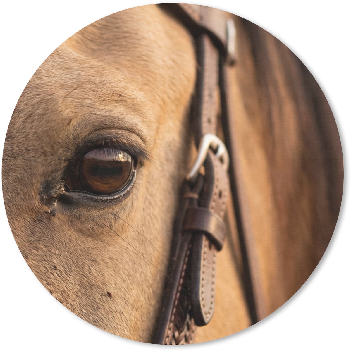 Muismat rond 50x50 cm - Mousepad Paard - Oog - Bruin - Ronde muismatten