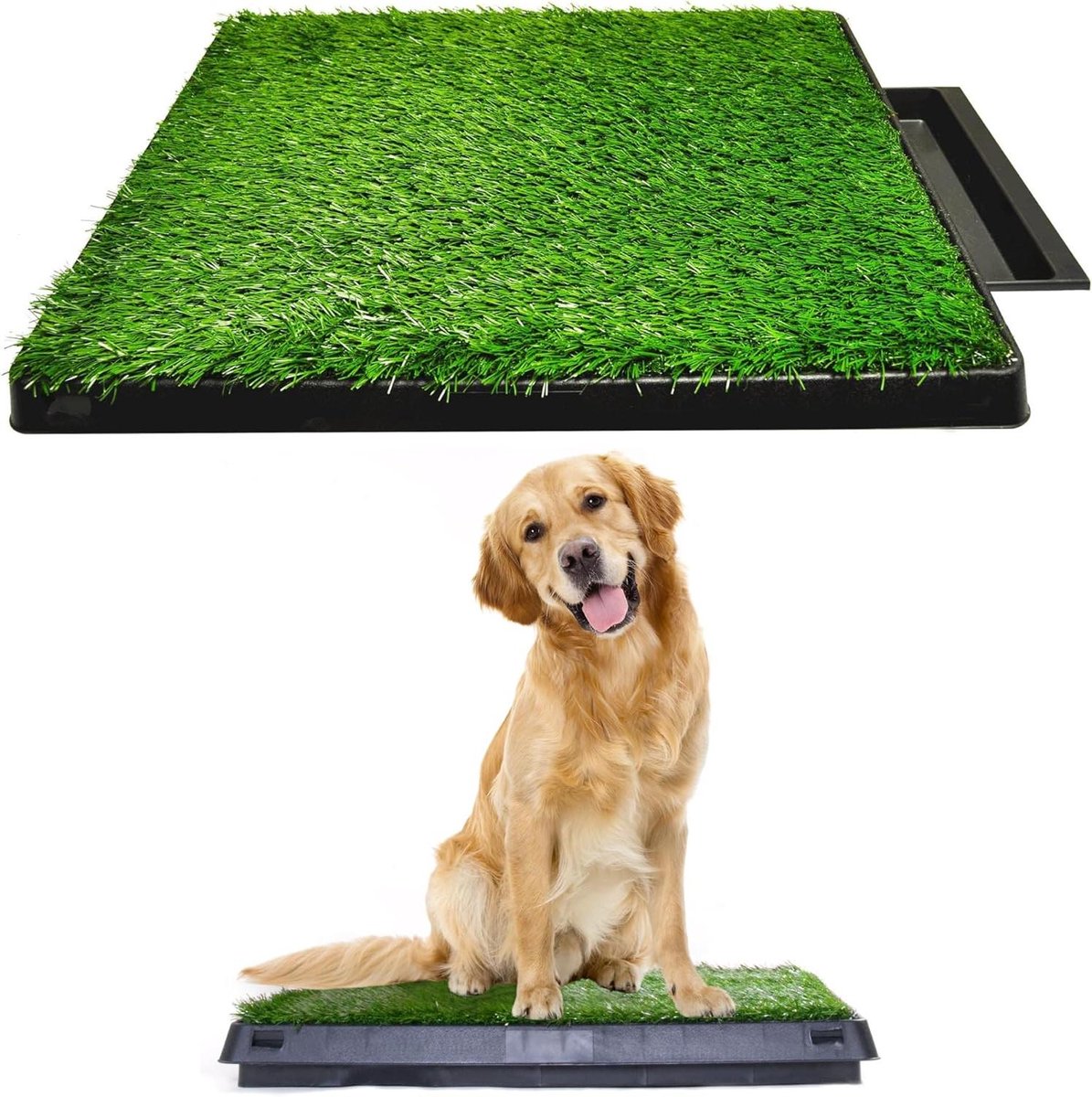 Honden Pee Tray - Hondentoilet Binnen - Zindelijkheidstraining Hond - Geurcontrole Technologie - 50 x 76 cm - Groen