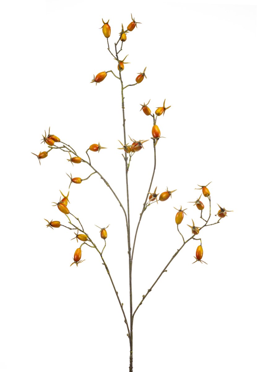 Sierlijke Rosehip Kunsttak - Rozenbotteltak - Realistisch & Duurzaam