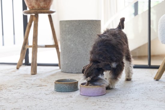 Een hond eet uit een roze en een grijs-groene keramieken voerbak op de grond.