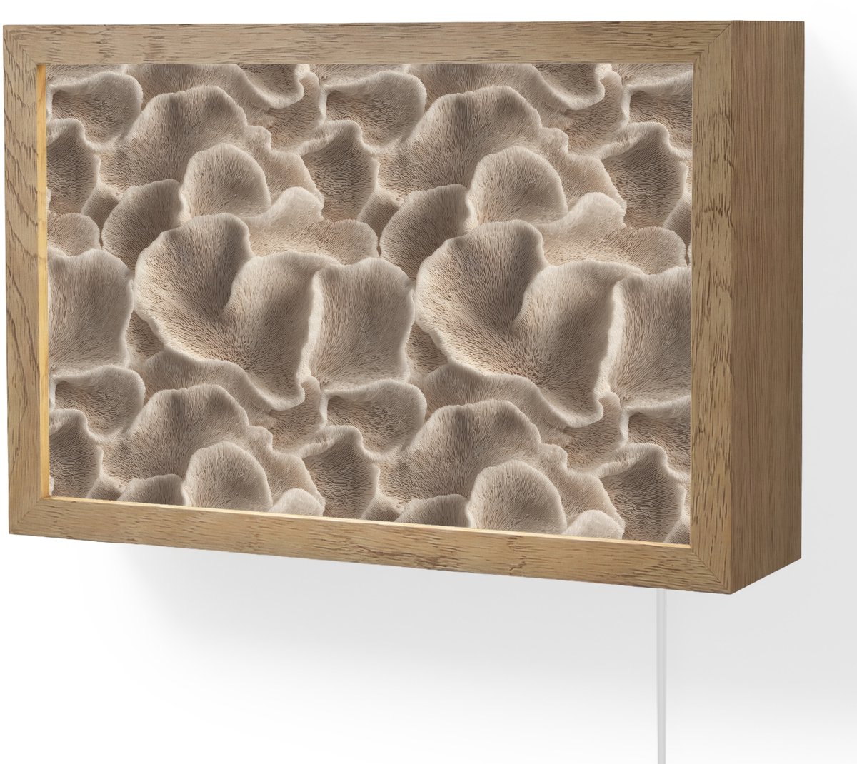 Wandlamp 30x20 cm - Oplaadbaar - Waaiervorm - Beige - Vezel textuur - Wandlampen binnen wo