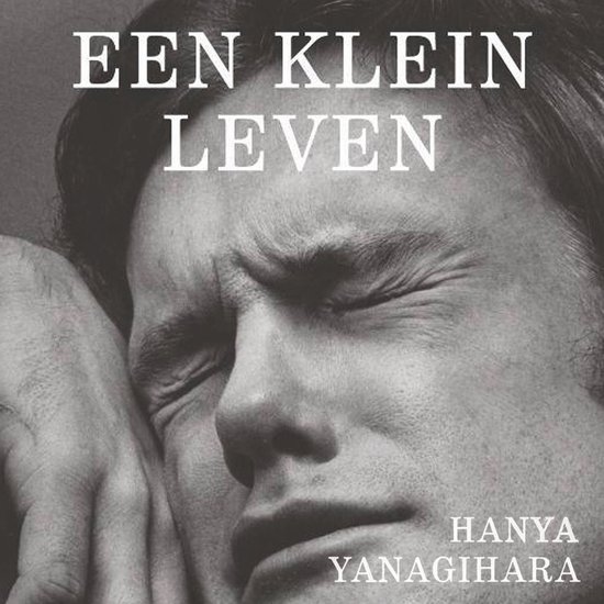 Een klein leven - cover