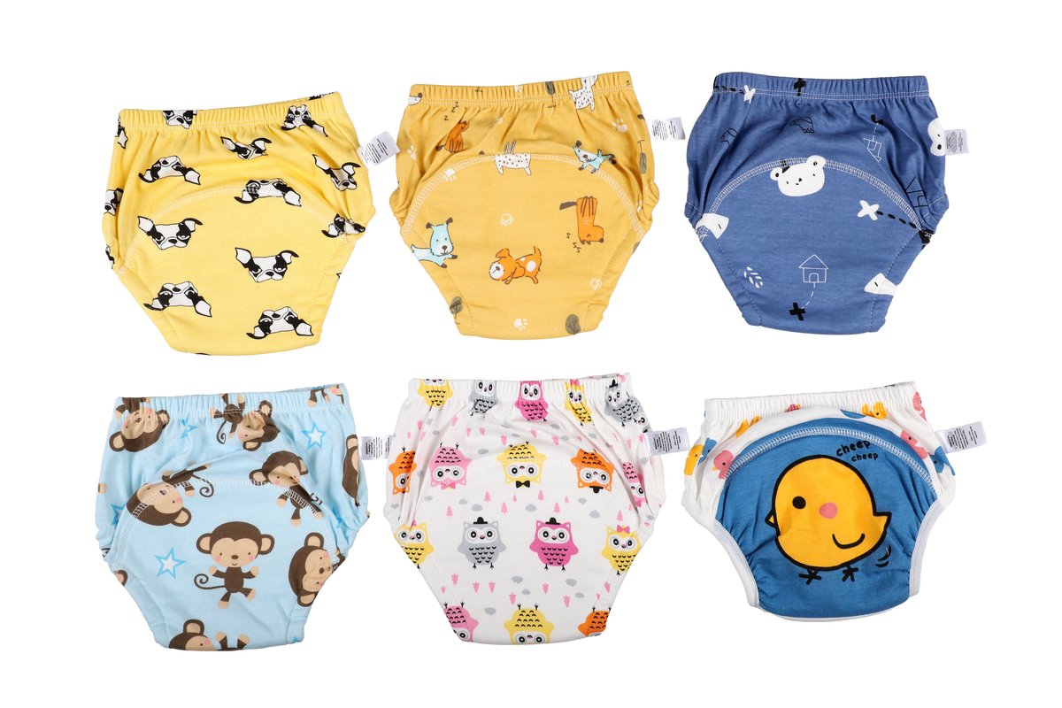 Bummy - Zindelijkheidsbroekjes - Oefenbroekjes zindelijkheid - 6 Stuks - Maat S (8-11kg) - Trainingsbroekjes - Wasbaar & Waterdicht - Zacht Premium Katoen - REACH-getest