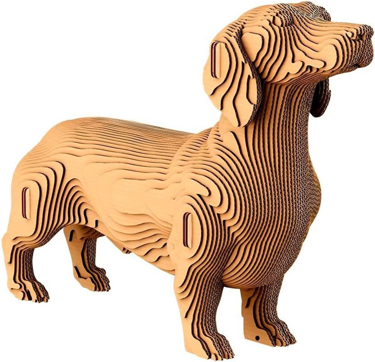3D Kartonnen Puzzel - Papieren Sculptuur - Creatief Hobby - Laag voor Laag Bouwen - 72 Stukjes - Teckel