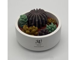 Kaars in glazen pot - cactus collectie - 787