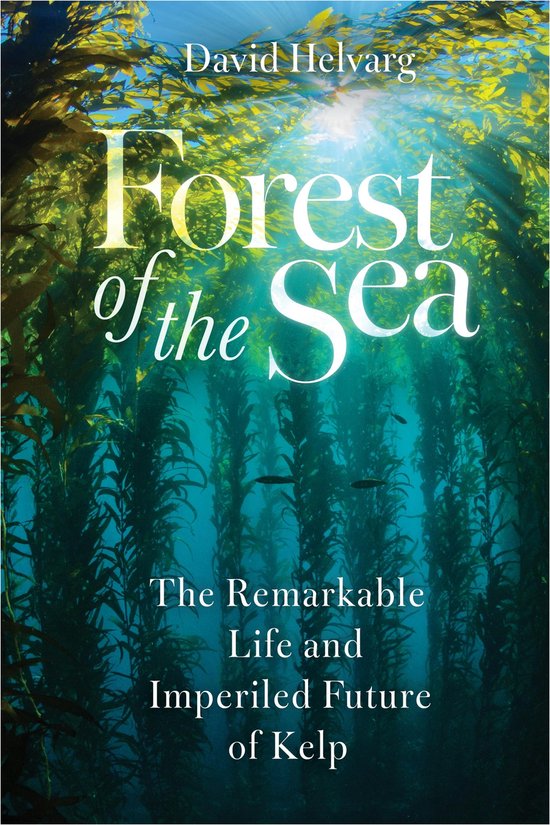 Forest of the Sea - cover
