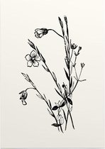Geelhartje zwart-wit (Linum Cartharticum) - Foto op Posterpapier - 29.7 x 42 cm (A3)