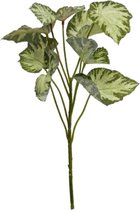 Gifts Amsterdam Kunstplant Begonia Rex 45 Cm Zijde Groen/wit