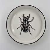 Mica Decorations insect schaal - Rond - Keramiek - Kever design - Wit