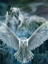 Dielay - Diamond Painting Pakket - Wolf en Uil - 40x30 cm - Complete Set - Volledige Bedekking - Ronde Steentjes