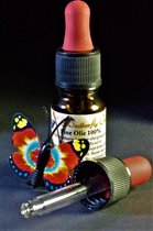 Dennenolie 100% 20ml Druppelfles - Etherische Dennen Olie van Grove Dennennaalden, Pine Oil