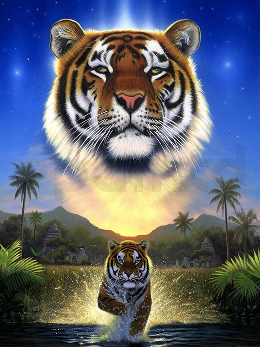 Lion King Tijger Natuur - VIERKANT - 30x40cm - Diamond Painting Volwassenen - Paintd