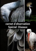 Carnet d'observation Special Oiseaux