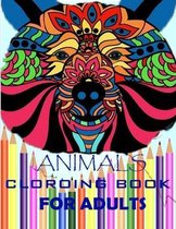 Animals Coloring Book For Adults: Stress Relieving Animal Designs: Animal Kingdom: Animals Adult Coloring Book