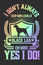 I Don't Always Stop and Look At Black Lab OH Wait, Yes I Do!: Gifts for Dog Owners 100 page Daily 6 x 9 journal to jot down your ideas and notes