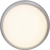 Brilliant VIGOR - Wandlamp/Plafondlamp - LED - Grijs