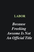 Labor Because Freeking Awsome is Not An Official Title: Writing careers journals and notebook. A way towards enhancement