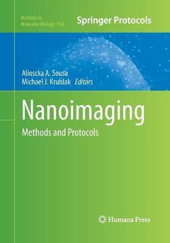 Methods in Molecular Biology Nanoimaging 9781493959617 Boeken