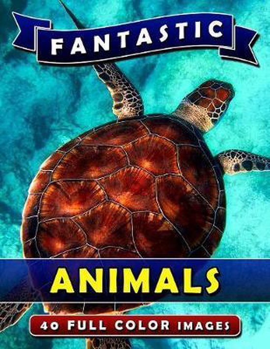 Fantastic Animals - cover
