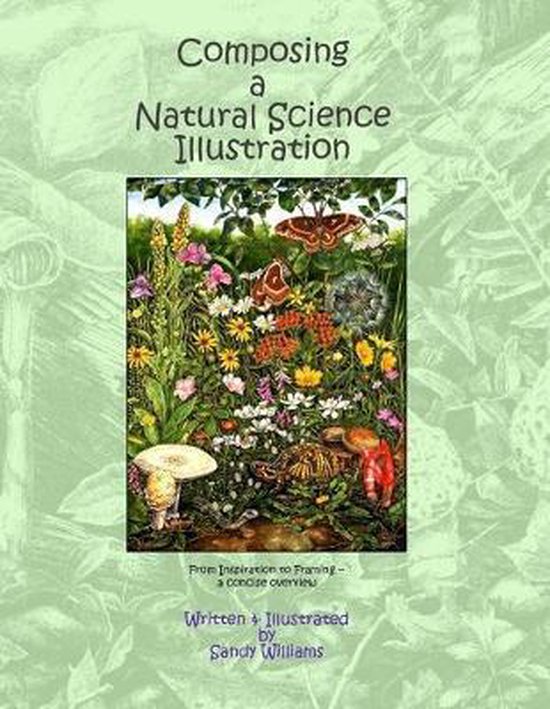 Composing a Natural Science Illustration From Inspiration to Framing