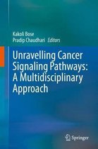 Unravelling Cancer Signaling Pathways A Multidisciplinary Approach
