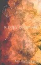 Pieces of Dawn: Poems about Finding the Light