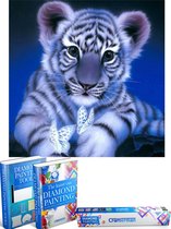 Crafterman™ Diamond Painting Pakket Volwassenen - Baby tijger met vlinder - 40x40cm - volledige bedekking - vierkante steentjes  - hobby pakket - Met tijdelijk 2 E-Books