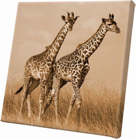 Giraffe | 30 x 30 CM | Wanddecoratie | Dieren op canvas | Schilderij |  Canvasdoek |... | bol.com