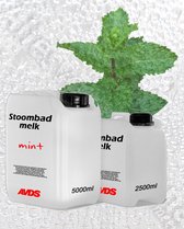 Stoombadmelk Mint 5 liter