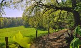 Fotobehang glooiend weide landschap bij Nijmegen 450 x 260 cm - € 295,--