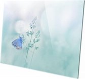 Vlinder | 90 x 60 CM | Wanddecoratie | Dieren op plexiglas | Schilderij | Plexiglas | Schilderij op plexiglas