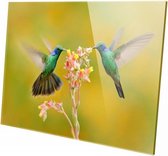 Kolibri | 60 x 40 CM| Wanddecoratie | Dieren op plexiglas | Schilderij | Plexiglas | Schilderij op plexiglas