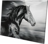 Paard zwart wit close up | 60 x 40 CM| Wanddecoratie | Dieren op plexiglas | Schilderij | Plexiglas | Schilderij op plexiglas