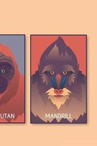 Different Monkey Types - Blank Lined Notebook