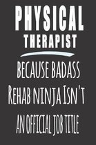 Physical Therapist, Because Badass Rehab Ninja Isn'T An Official Job Title