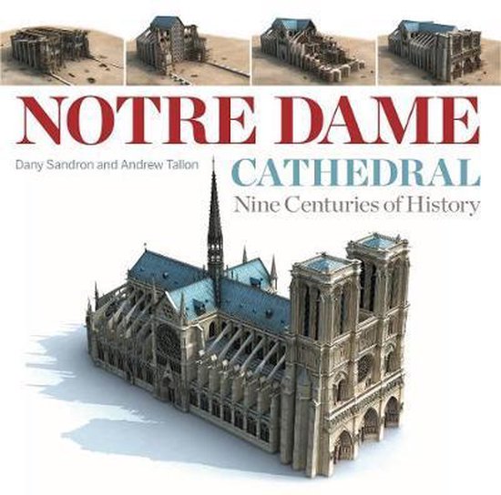 Dame cathedral notre Notre Dame