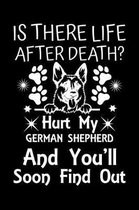 Is There Life After Death Hurt My German Shepherd And You'll Soon Find Out