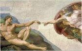 Schepping van Adam, Michelangelo Buonarroti - Foto op Forex - 45 x 30 cm