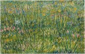 Grasgrond, Vincent van Gogh - Foto op Forex - 45 x 30 cm