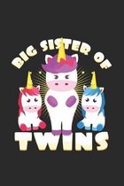 big sister of twins