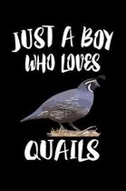Just A Boy Who Loves Quail