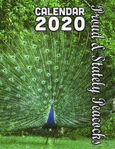 Proud and Stately Peacocks Calendar 2020